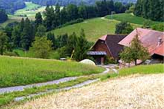 Landwirtschaft