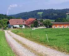 ruinenweg_02
